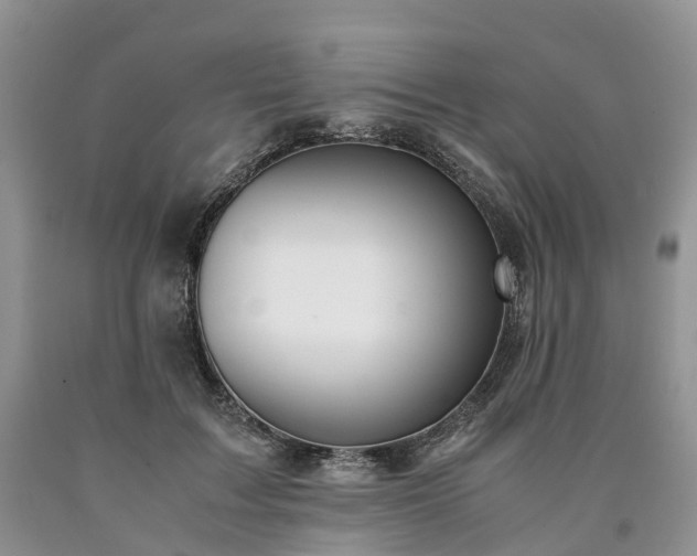 X0000090470603200707201356