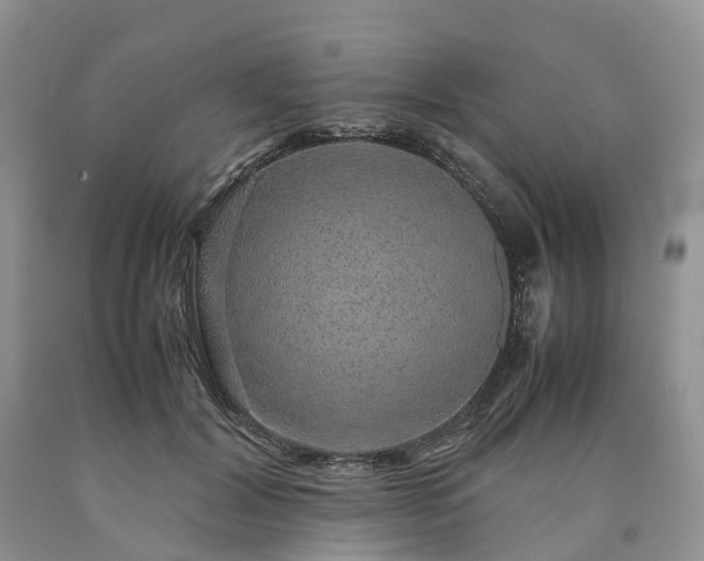 X0000090470604200707201356