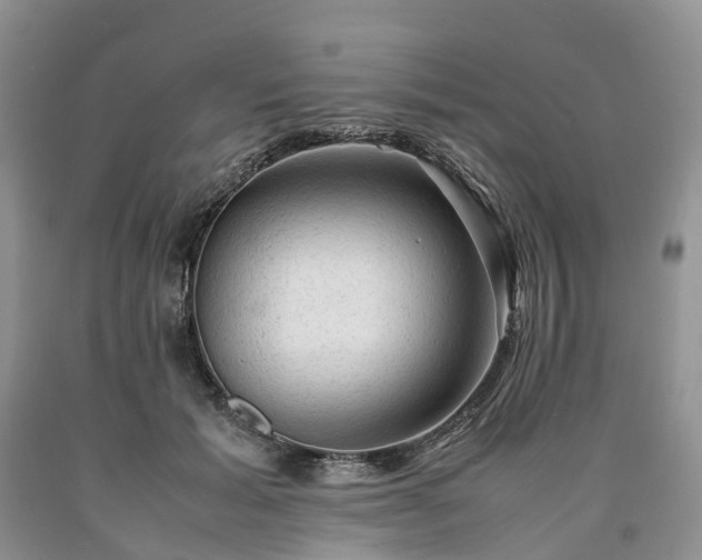 X0000090470605200707201356