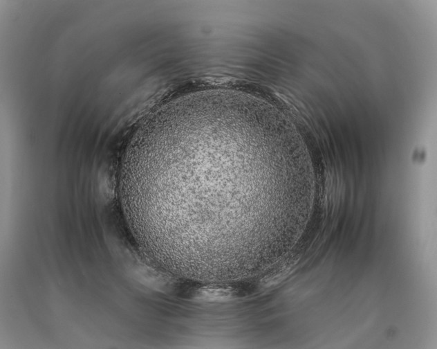 X0000090470606200707201356
