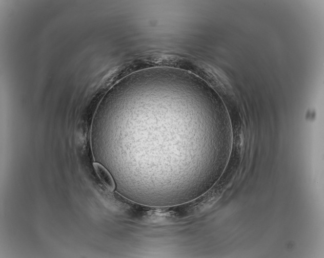 X0000090470607200707201356