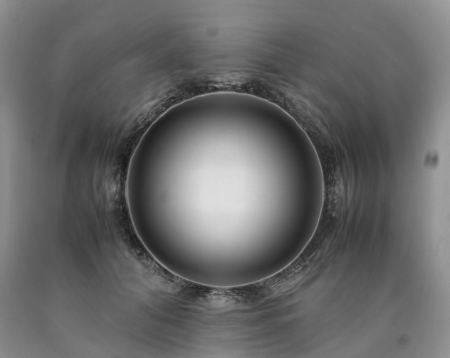 X0000090470608200707201356