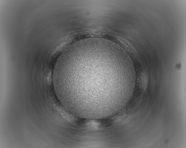 X0000090470610200707201355