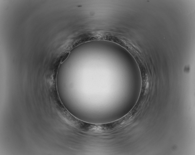 X0000090470611200707201355