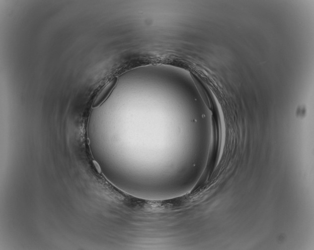 X0000090470613200707201355