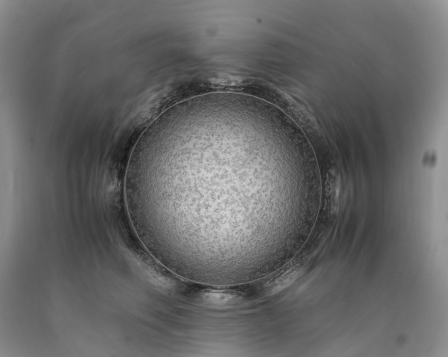 X0000090470614200707201355