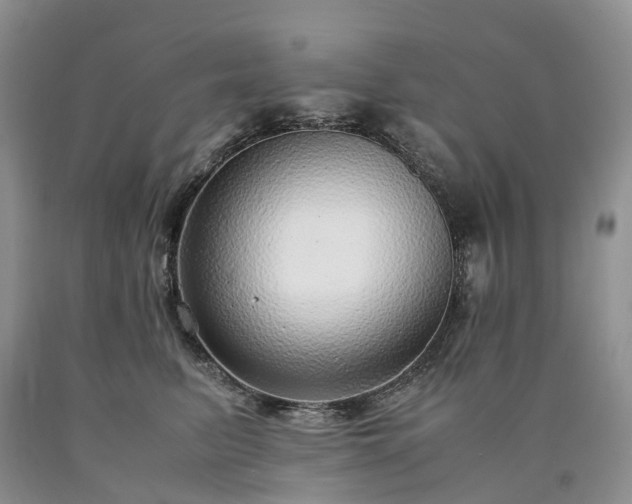 X0000090470615200707201355