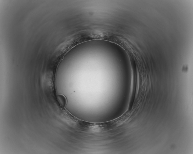 X0000090470616200707201355
