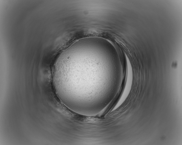 X0000090470617200707201355