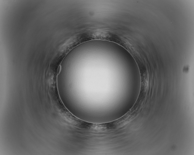 X0000090470619200707201355