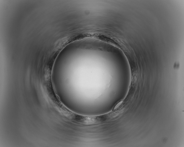 X0000090470623200707201355