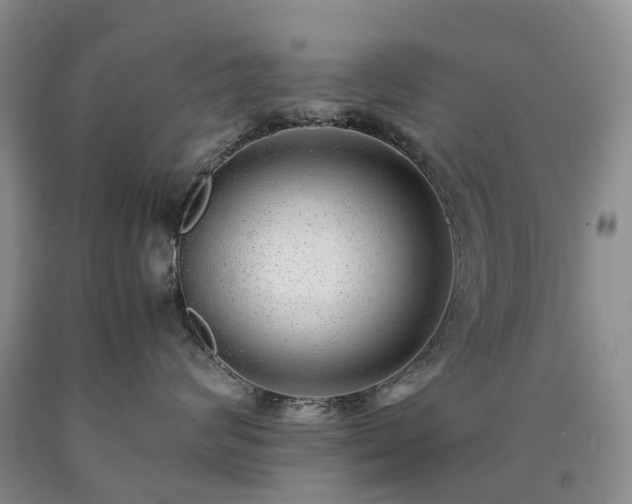 X0000090470624200707201355