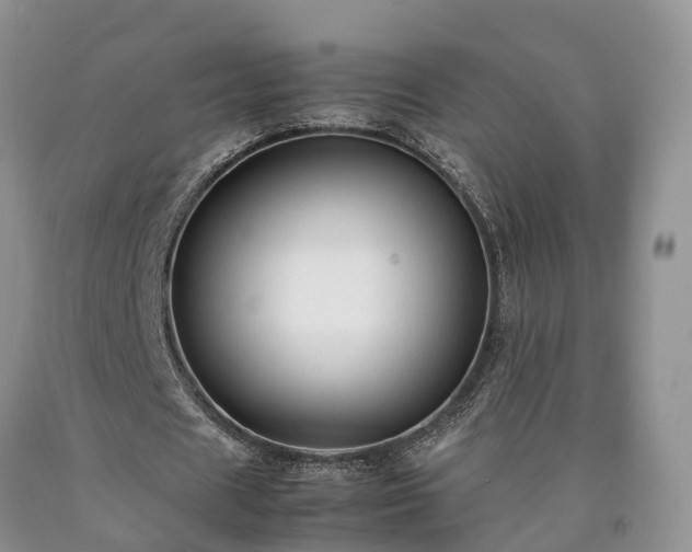 X0000090470625200707201355