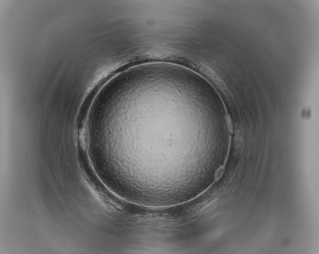 X0000090470626200707201355