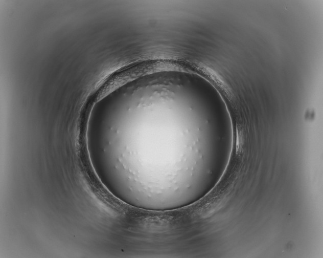 X0000090470627200707201355