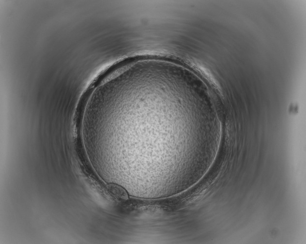 X0000090470628200707201355