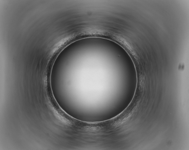 X0000090470629200707201355