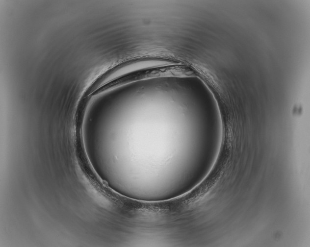 X0000090470630200707201355