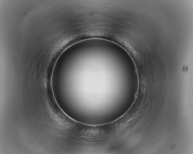 X0000090470631200707201355