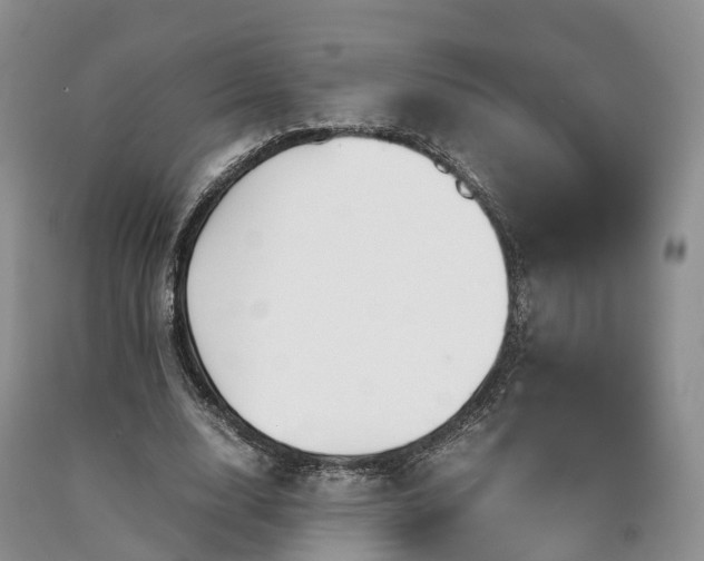 X0000090470632200707201355