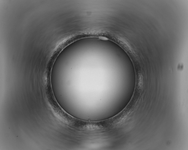 X0000090470636200707201355