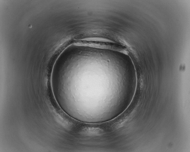 X0000090470637200707201355