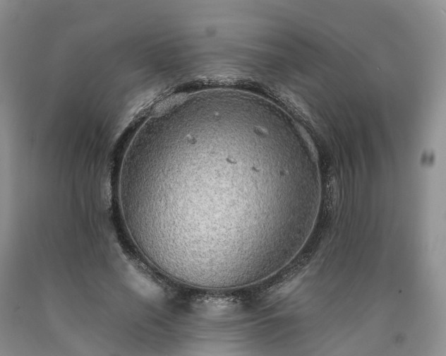 X0000090470638200707201355