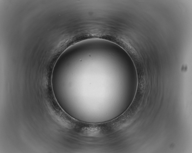 X0000090470639200707201355