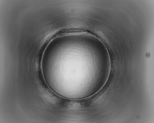 X0000090470640200707201355