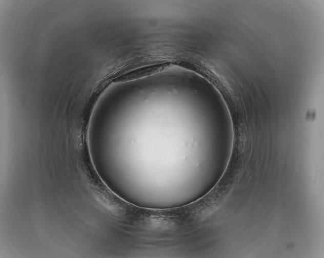 X0000090470641200707201355