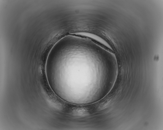 X0000090470643200707201355