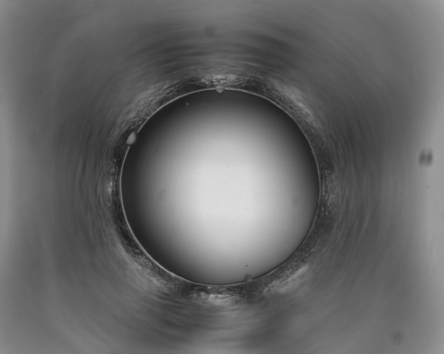 X0000090470645200707201355
