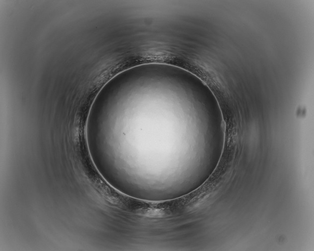 X0000090470647200707201355