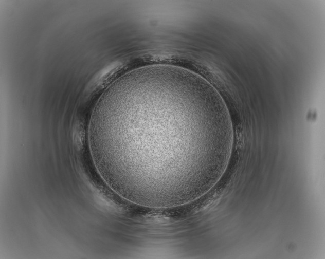 X0000090470648200707201355