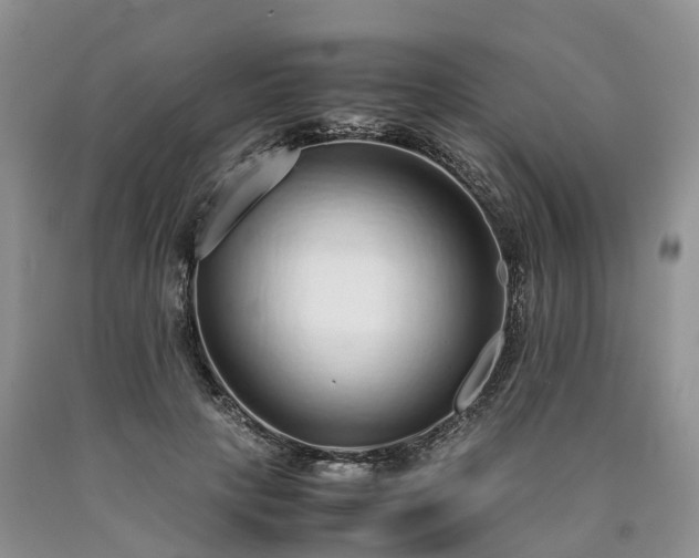 X0000090470649200707201355