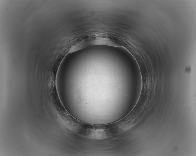 X0000090470651200707201355