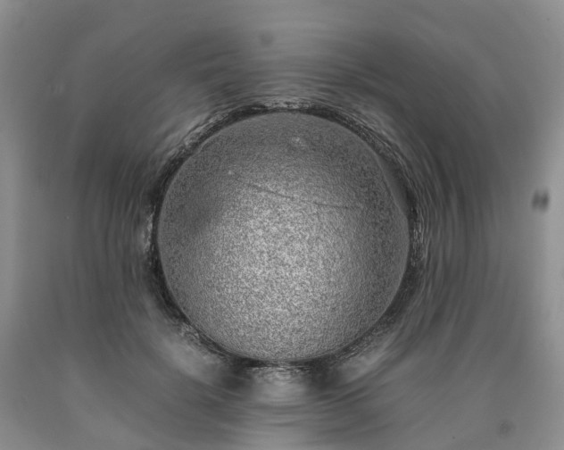 X0000090470652200707201355