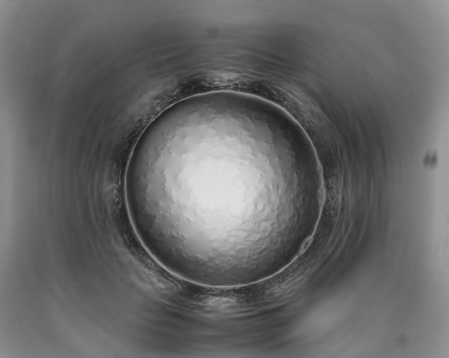X0000090470653200707201355