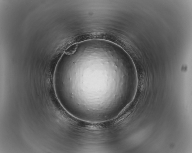 X0000090470654200707201355