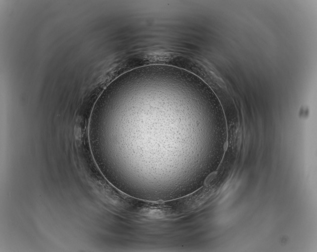 X0000090470655200707201355