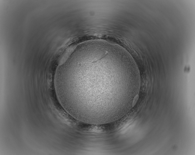 X0000090470656200707201355