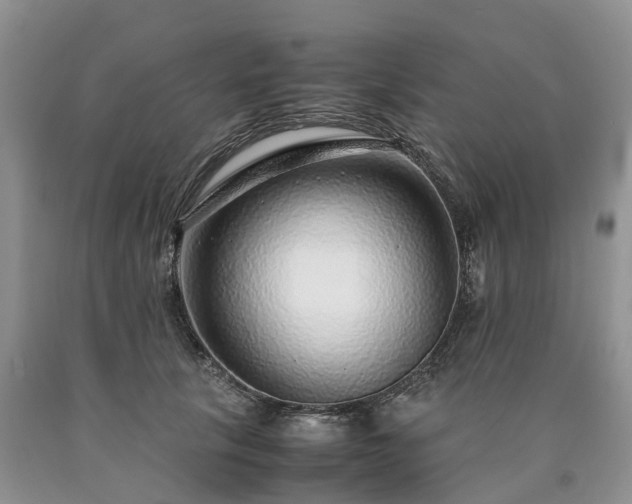 X0000090470657200707201355