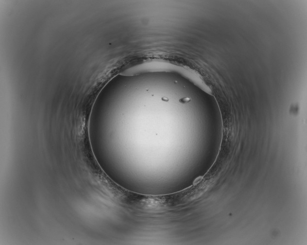 X0000090470660200707201355