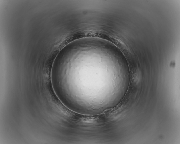 X0000090470661200707201355