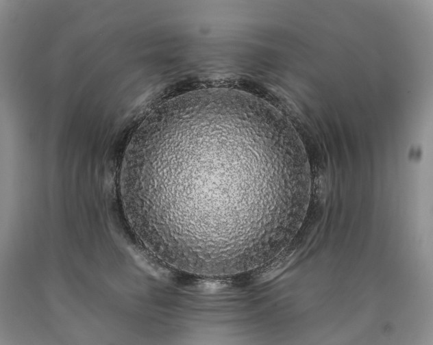 X0000090470662200707201355