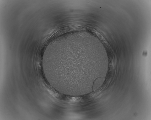 X0000090470663200707201355