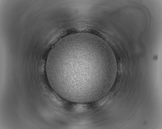 X0000090470664200707201355