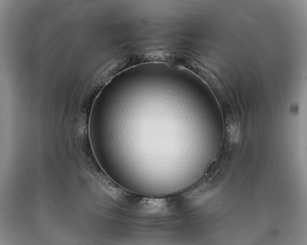 X0000090470665200707201355