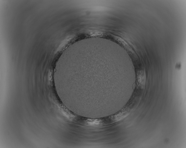 X0000090470667200707201355