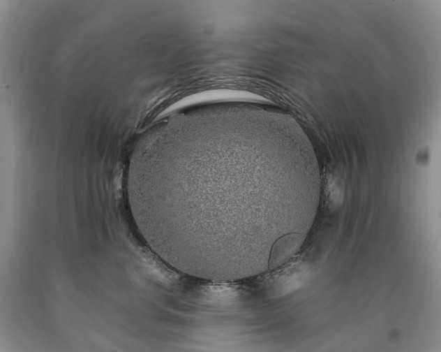 X0000090470668200707201355